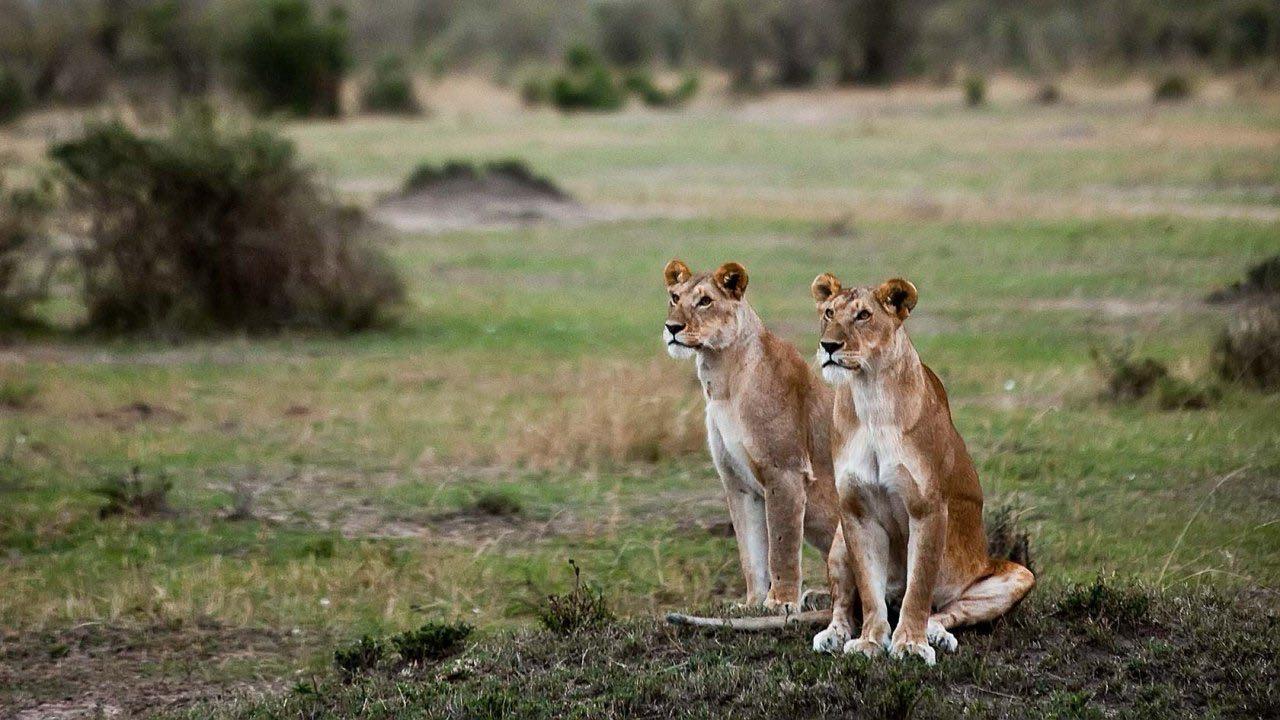 Nairobi city tour experience