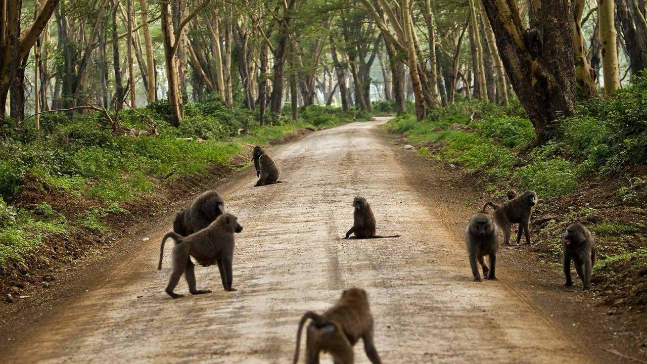 Nairobi city tour experience