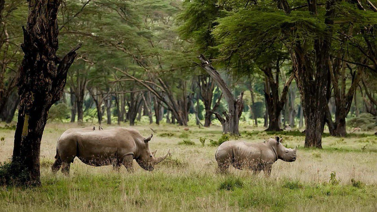 Nairobi city tour experience