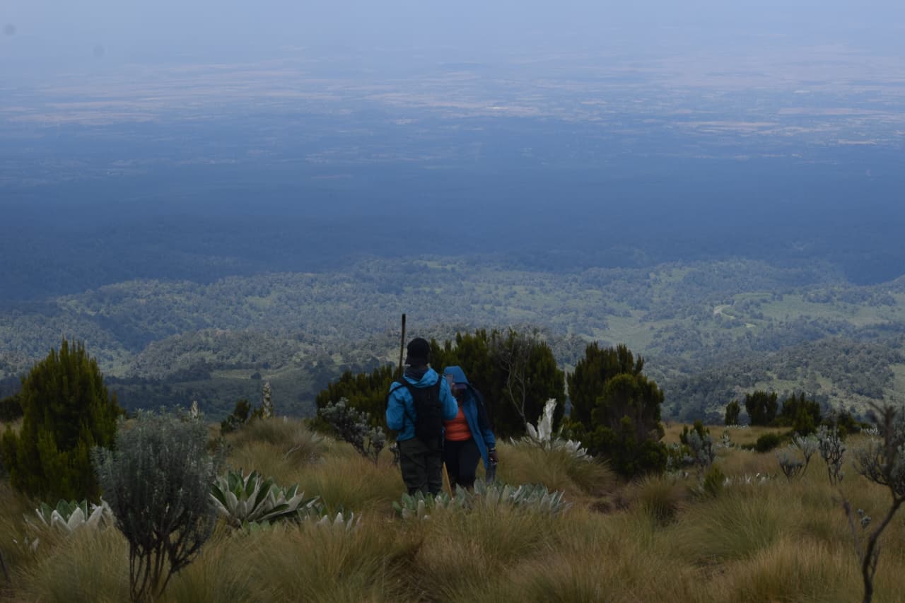Nairobi city tour experience